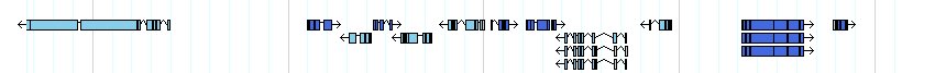 genes detail