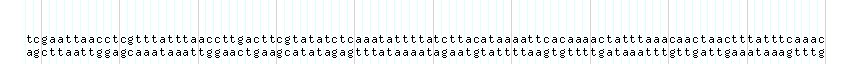 DNA/GC_Content detail