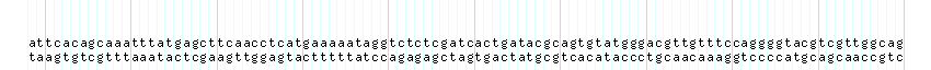 DNA/GC_Content detail