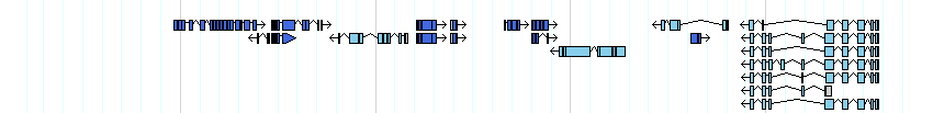 genes detail