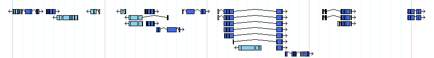 genes detail