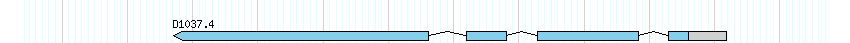genes detail