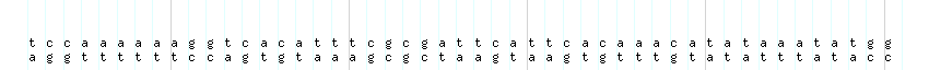 DNA/GC_Content detail