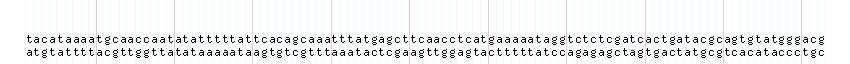DNA/GC_Content detail