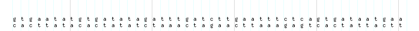 DNA/GC_Content detail