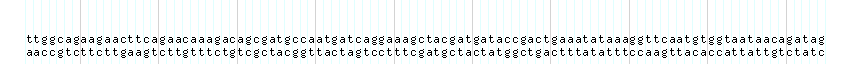 DNA/GC_Content detail