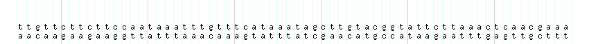 DNA/GC_Content detail