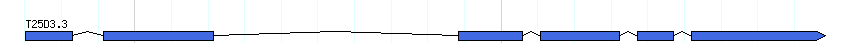 genes detail