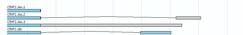 genes detail