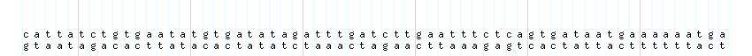 DNA/GC_Content detail