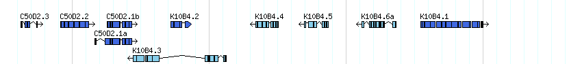 genes detail