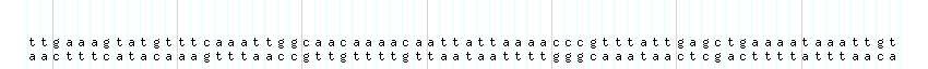 DNA/GC_Content detail