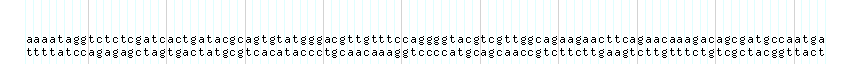 DNA/GC_Content detail
