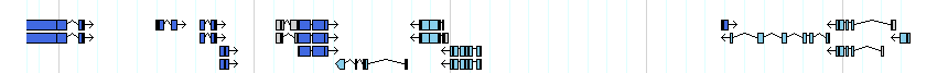 genes detail