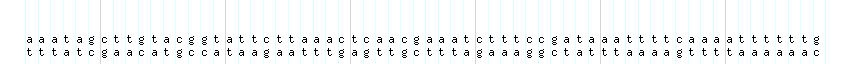 DNA/GC_Content detail