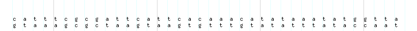 DNA/GC_Content detail