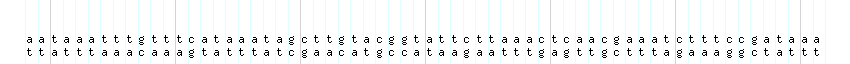 DNA/GC_Content detail