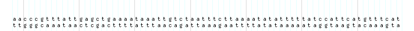 DNA/GC_Content detail