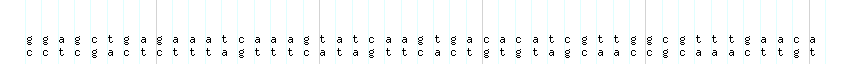 DNA/GC_Content detail