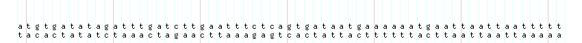 DNA/GC_Content detail