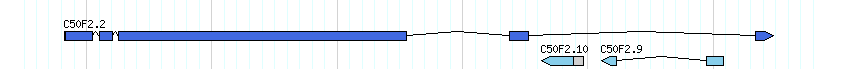 genes detail