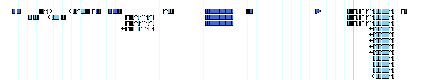 genes detail