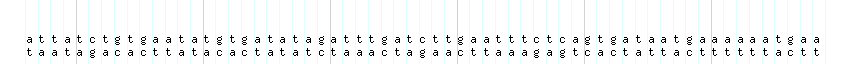 DNA/GC_Content detail