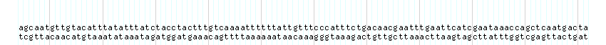 DNA/GC_Content detail