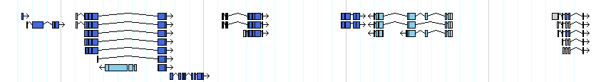 genes detail