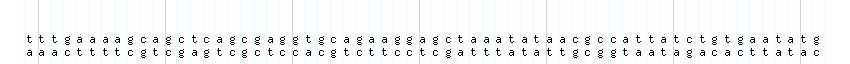 DNA/GC_Content detail