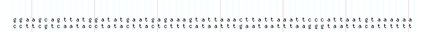 DNA/GC_Content detail