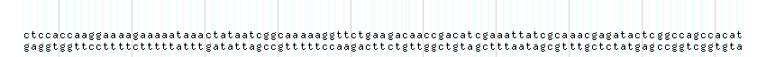 DNA/GC_Content detail