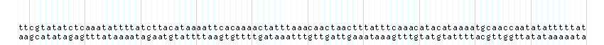 DNA/GC_Content detail