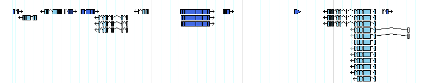 genes detail