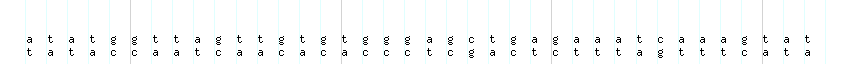 DNA/GC_Content detail