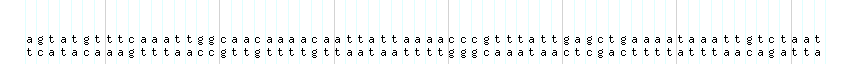 DNA/GC_Content detail
