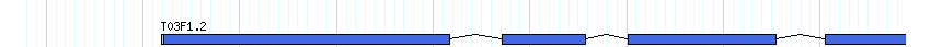 genes detail