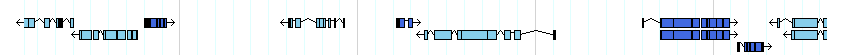 genes detail