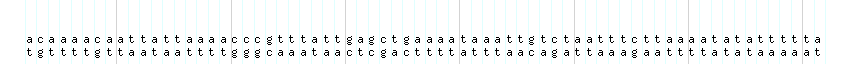 DNA/GC_Content detail