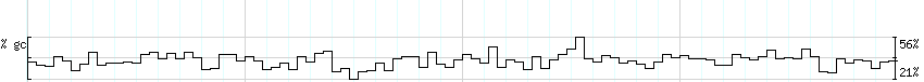 DNA/GC_Content detail