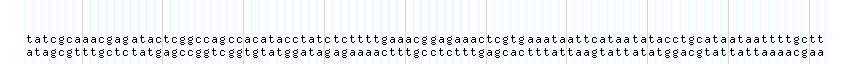 DNA/GC_Content detail