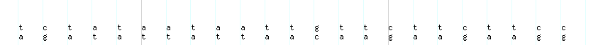 DNA/GC_Content detail