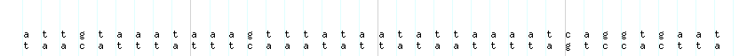 DNA/GC_Content detail