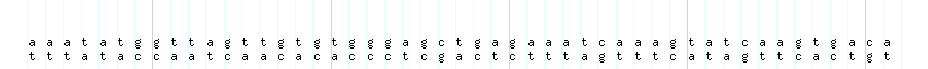 DNA/GC_Content detail
