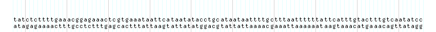DNA/GC_Content detail