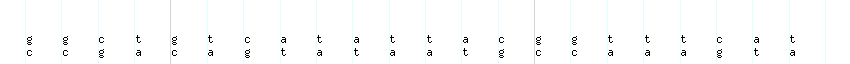 DNA/GC_Content detail