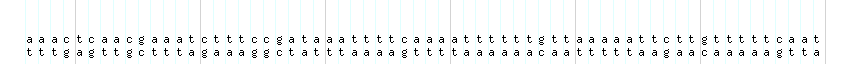 DNA/GC_Content detail