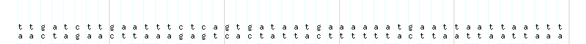 DNA/GC_Content detail