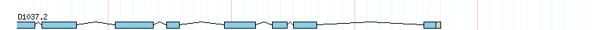 genes detail