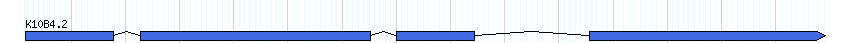 genes detail